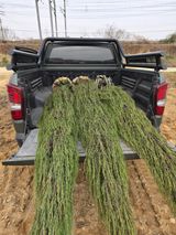 행복한나무농장님의 자유주제·자유게시판 작성글 사진