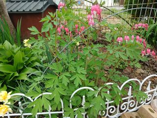 금동이네님의 자유주제 · 자유게시판 작성글 사진