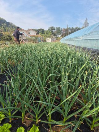 김혜순님의 자유주제 · 자유게시판 작성글 사진