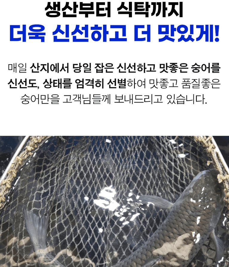스피드번님의 장터 판매 상품 [보리숭어 필렛] 첨부 사진