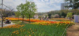 하은와송~♡♡♡~님의 자유주제 · 자유게시판 작성글 사진