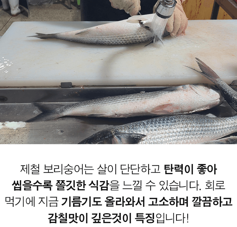 스피드번님의 장터 판매 상품 [보리숭어 필렛] 첨부 사진