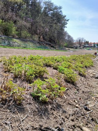 김명남님의 자유주제 · 자유게시판 작성글 사진