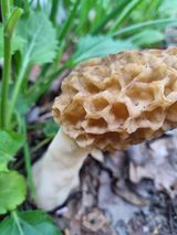 하예산방15926님의 자유주제·자유게시판 작성글 사진