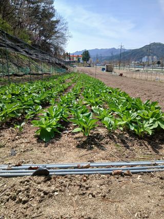 김명남님의 자유주제 · 자유게시판 작성글 사진
