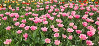 하은와송~♡♡♡~님의 자유주제 · 자유게시판 작성글 사진