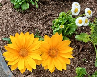 연향님의 자유주제 · 자유게시판 작성글 사진