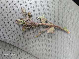 채동준님의 자유주제 · 자유게시판 작성글 사진