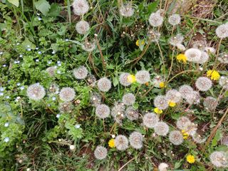 연향님의 자유주제 · 자유게시판 작성글 사진