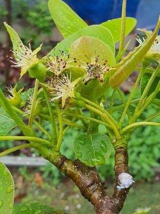 하나라도 소중하게님의 배 · 일상 작성글 사진