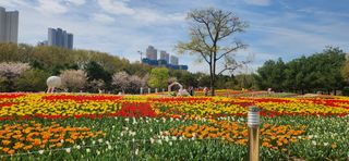 하은와송~♡♡♡~님의 자유주제 · 자유게시판 작성글 사진