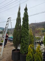 팜모닝 자유주제·자유게시판 게시글 이미지