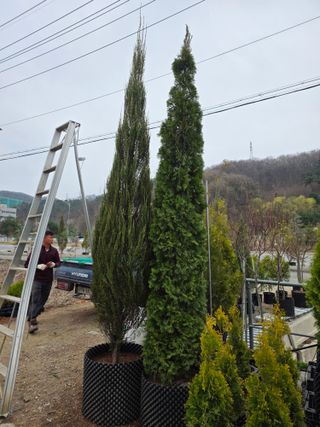 행복한나무농장님의 자유주제·자유게시판 작성글 사진