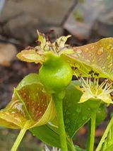 팜모닝 배·일상 게시글 이미지