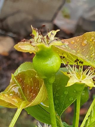 하나라도 소중하게님의 배 · 일상 작성글 사진