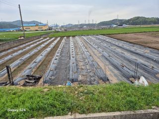 사천시향촌동 돼지띠님의 자유주제 · 자유게시판 작성글 사진