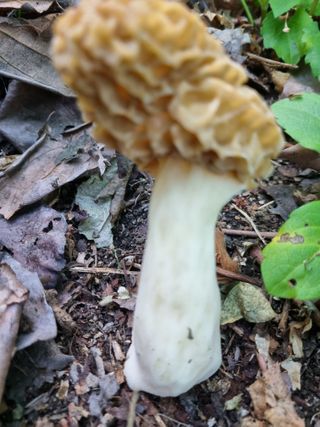 하예산방15926님의 자유주제 · 자유게시판 작성글 사진