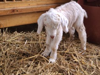 (천지산)님의 자유주제 · 자유게시판 작성글 사진