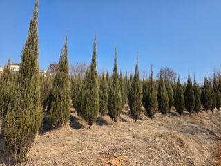 행복한나무농장님의 자유주제 · 자유게시판 작성글 사진