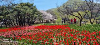 무봉농장(기북)님의 자유주제·자유게시판 작성글 사진