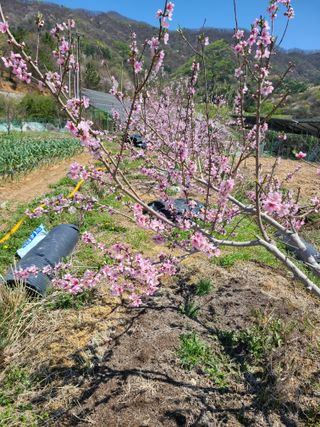 귤8640님의 자유주제·자유게시판 작성글 사진