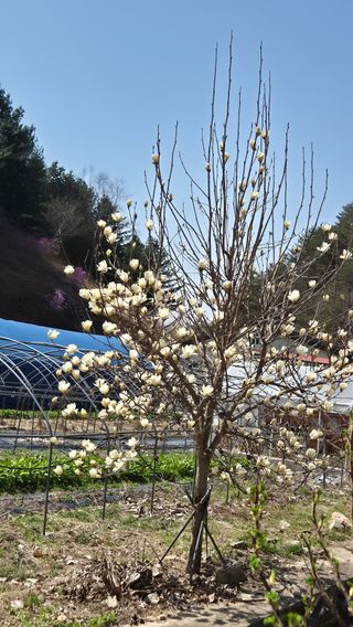 심재연님의 자유주제 · 자유게시판 작성글 사진