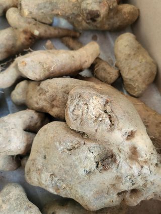 개농소농님의 자유주제 · 자유게시판 작성글 사진