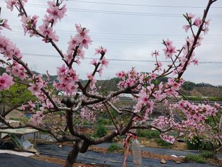 금동이네님의 자유주제 · 자유게시판 작성글 사진