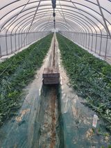 허종범님의 자유주제·자유게시판 작성글 사진