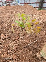 채동준님의 자유주제·자유게시판 작성글 사진