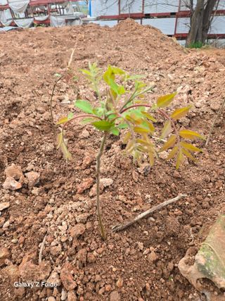 채동준님의 자유주제 · 자유게시판 작성글 사진