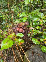 윤영도님의 자유주제·자유게시판 작성글 사진