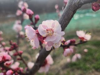 들꽃농장님의 자유주제 · 자유게시판 작성글 사진