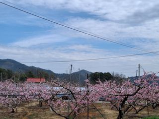 MSG0074님의 자유주제 · 자유게시판 작성글 사진