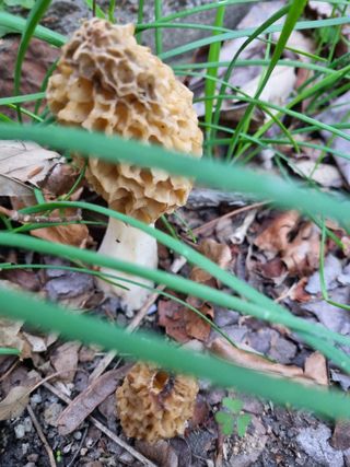 하예산방15926님의 자유주제 · 자유게시판 작성글 사진