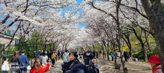 무봉농장(기북)님의 자유주제 · 자유게시판 작성글 사진