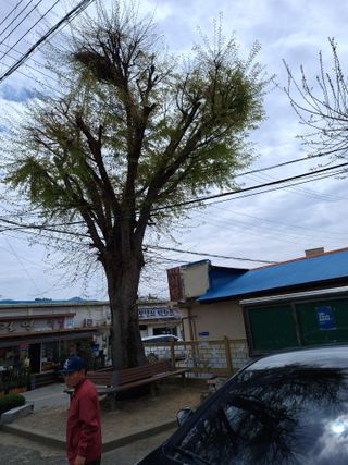 MSG0074님의 자유주제 · 자유게시판 작성글 사진