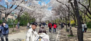 무봉농장(기북)님의 자유주제 · 자유게시판 작성글 사진