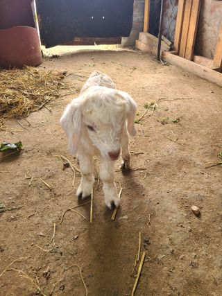 (천지산)님의 자유주제 · 자유게시판 작성글 사진