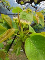 하나라도 소중하게님의 배·일상 작성글 사진