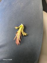 팜모닝 자유주제·자유게시판 게시글 이미지