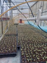 팜모닝 자유주제·자유게시판 게시글 이미지