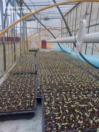 이대옥님의 자유주제 · 자유게시판 작성글 사진