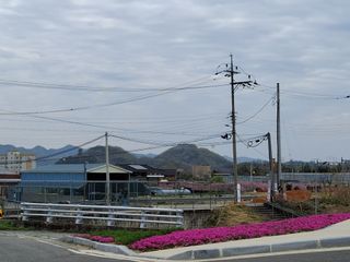 MSG0074님의 자유주제 · 자유게시판 작성글 사진