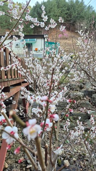 심재연님의 자유주제 · 자유게시판 작성글 사진