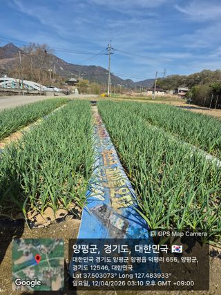 마늘16716님의 자유주제 · 자유게시판 작성글 사진