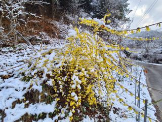 심재연님의 자유주제 · 자유게시판 작성글 사진
