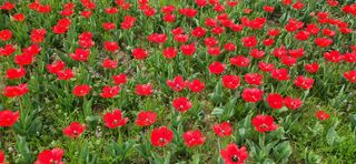 하은와송~♡♡♡~님의 자유주제 · 자유게시판 작성글 사진