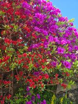 최동구님의 자유주제·자유게시판 작성글 사진