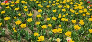 하은와송~♡♡♡~님의 자유주제 · 자유게시판 작성글 사진